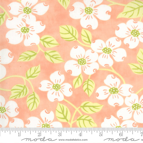 Strawberries Rhubarb Apricot Dogwood 20400 13 by Fig Tree Quilts for Moda