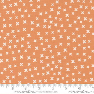 Late October Orange Xs 55591 22 designed by Sweetwater for Moda