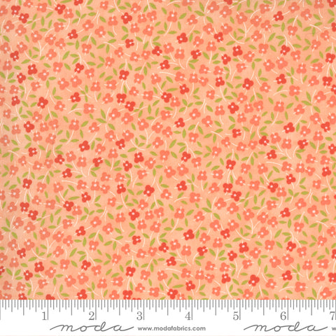 Strawberries Rhubarb Apricot Meadow Flowers 20406 13 by Fig Tree Quilts for Moda