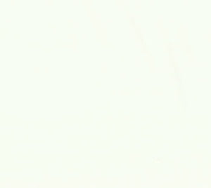 Bella Solids White Bleached 9900 98 from Moda